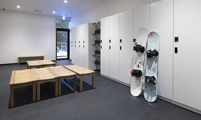 Wall-mounted collection of various ski displayed in a row
