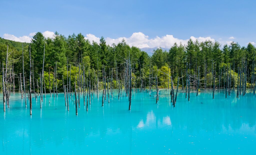 Biei Blue Pound, Hokkaido, Furano