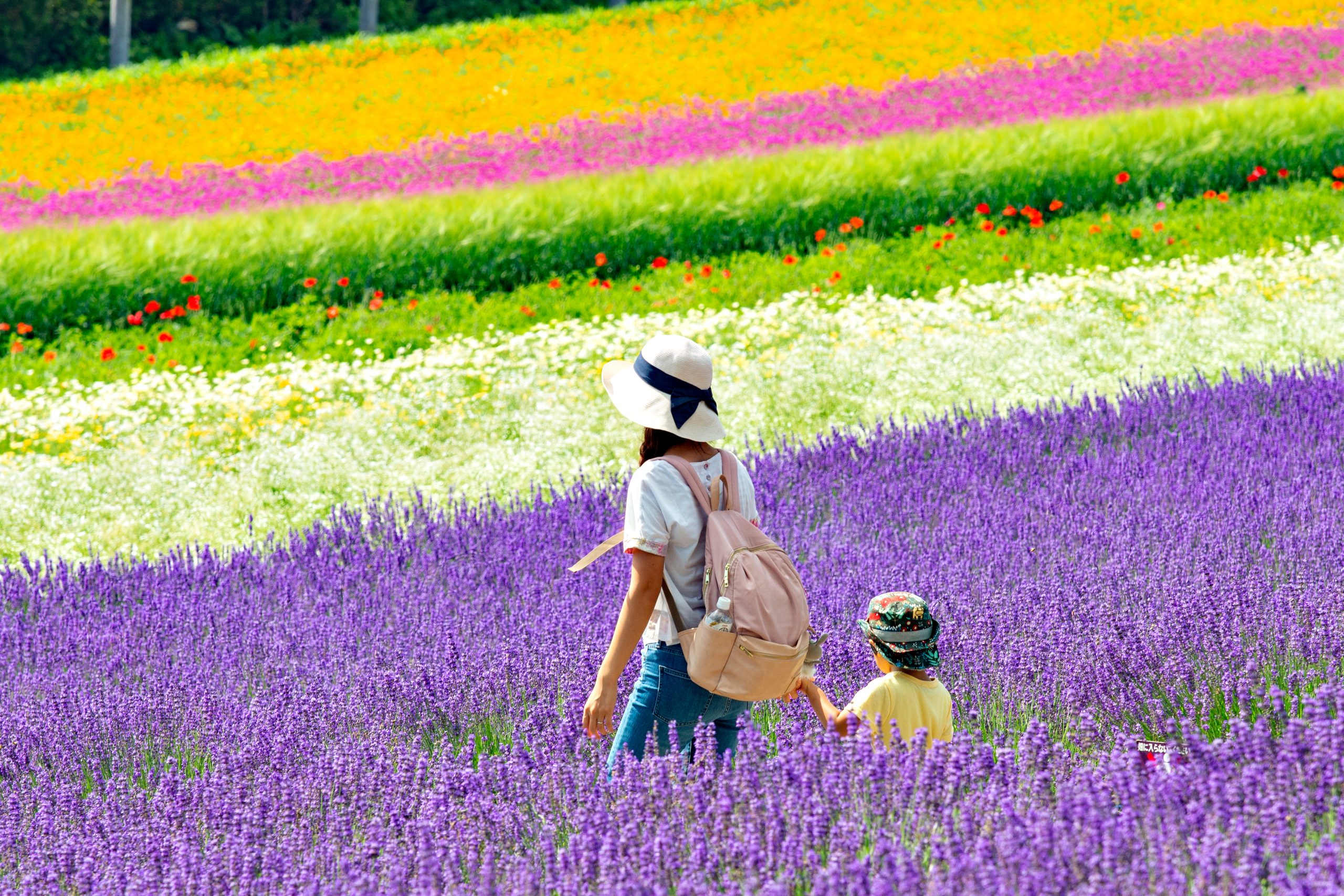Mother and Child in Flower Fields Furano