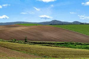 Furano Farm