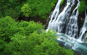 Furano nature waterfall