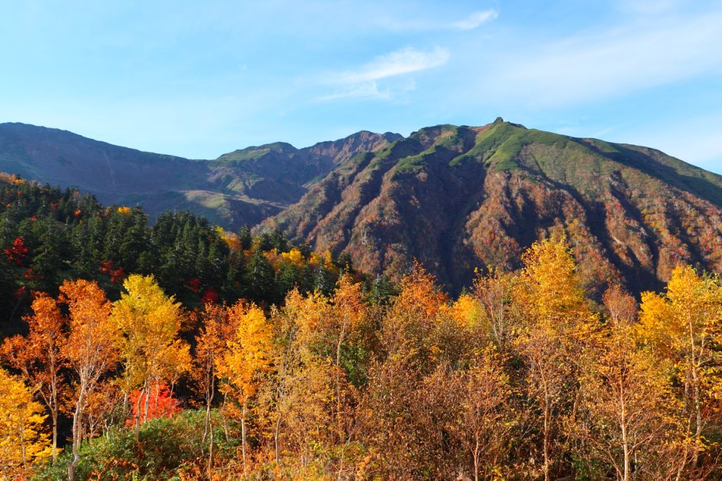 Mt. Furano fall