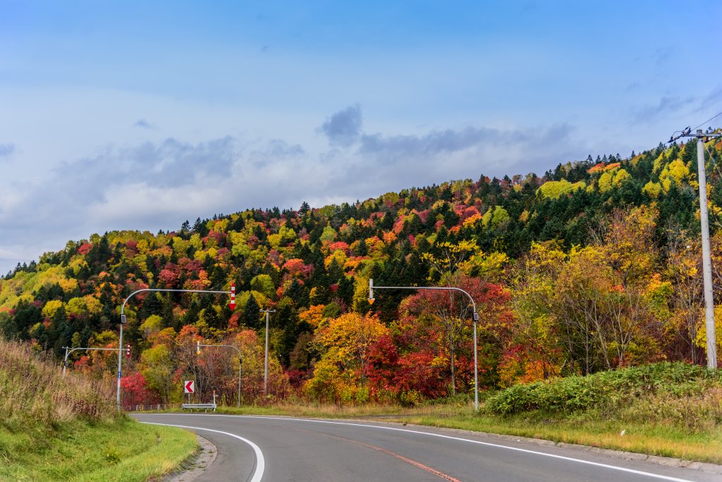 In,Furano,,Hokkaido,,Japan