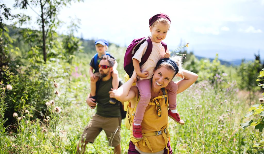 Family,With,Small,Children,Hiking,Outdoors,In,Summer,Nature.