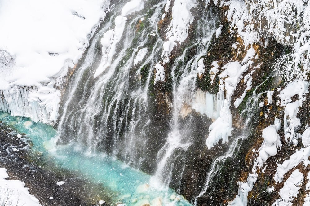 photo_6289396610886209387_y