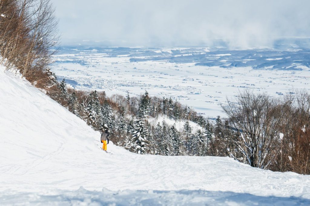 photo_6095866015888641279_y