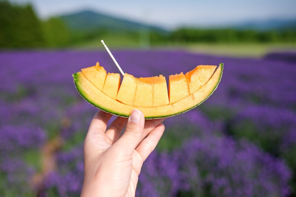 photo_6163280075969727885_y