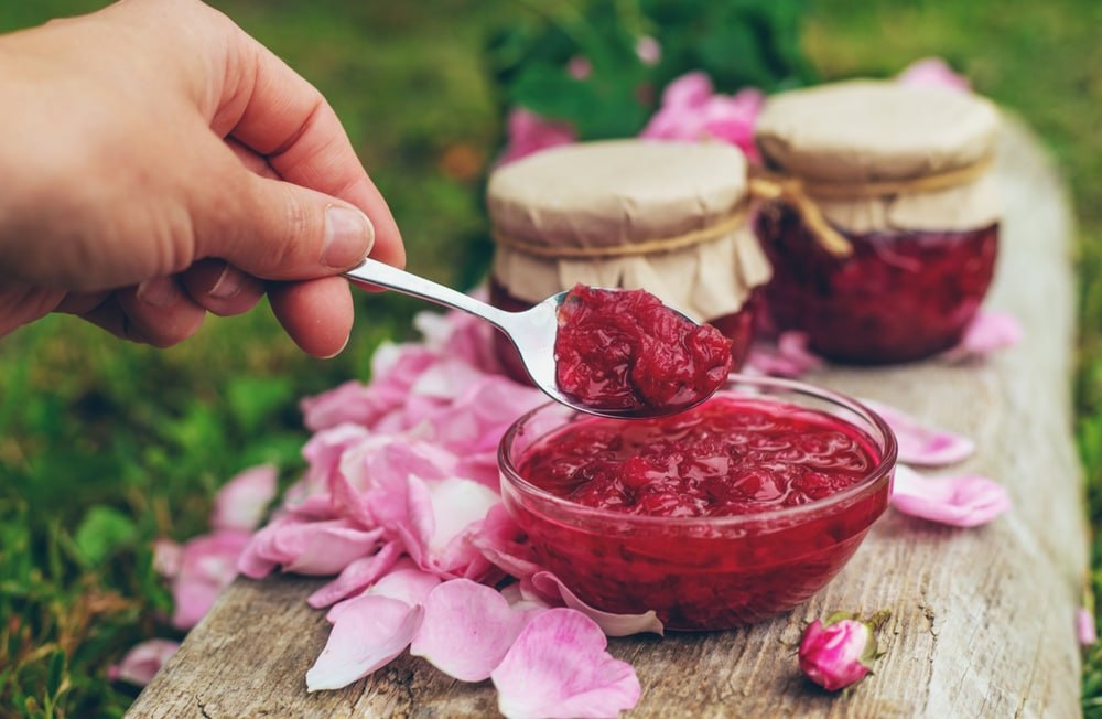 photo_6260240495980252642_y