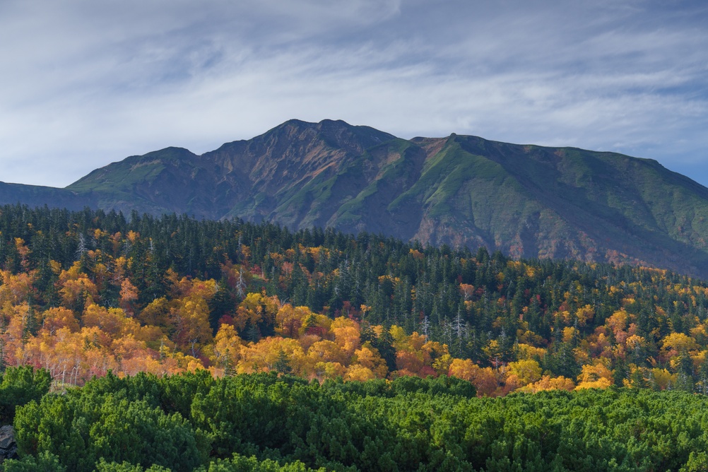 Autumn,Foliage,And,Mount,Furano,Seen,From,Tokachidake,Trail,In