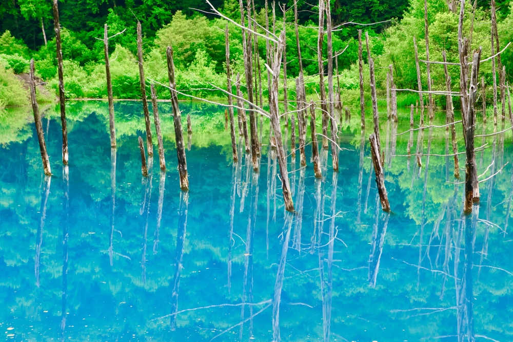 Shirogane,Blue,Pond,In,Early,Summer,(biei,,Hokkaido)