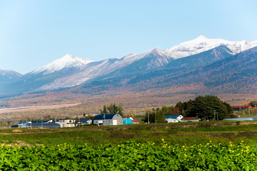 Autumn,Field,And,Snowy,Mountains