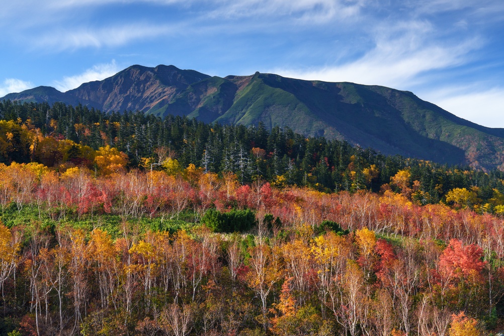 Autumn,Foliage,And,Mount,Furano,Seen,From,Tokachidake,Trail,In