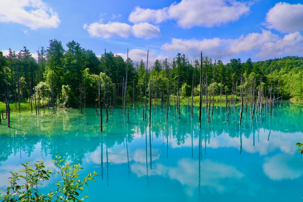 Shirokane,Blue,Pond,And,White,Clouds,(biei,,Hokkaido)